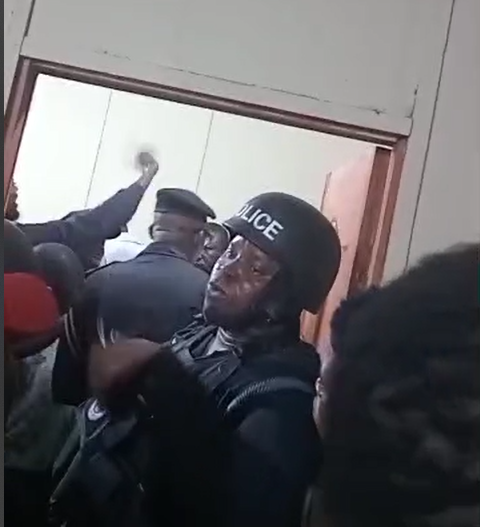 Screenshot-2024-12-12-090153