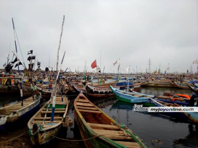 Two-fishers-dead-1-565x424-Copy-696x522