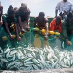 713202184027-uaqctgfsrn-fi