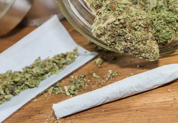 Cannabis_Joint_1000x500