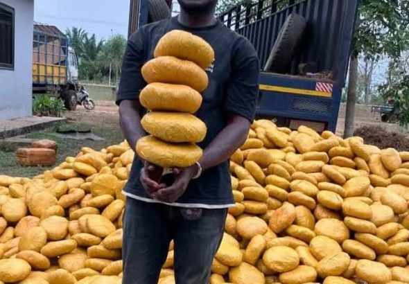 WhatsApp-Image-2026-02-11-at-5.50.12-PM