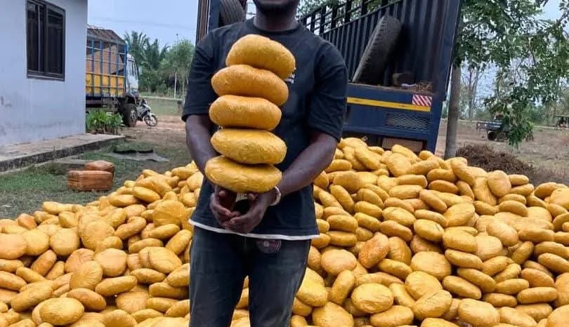 WhatsApp-Image-2026-02-11-at-5.50.12-PM