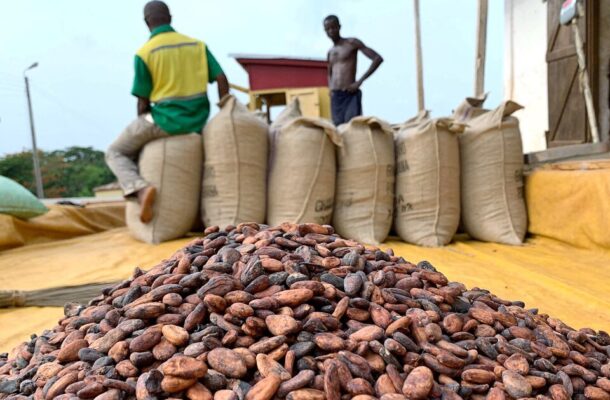 gh_cocoa-610x400