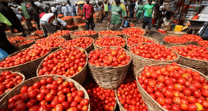 tomato