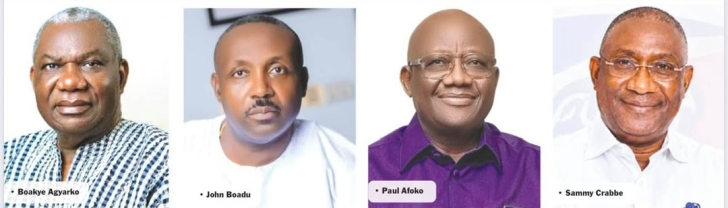 NPP-chairmanship-race