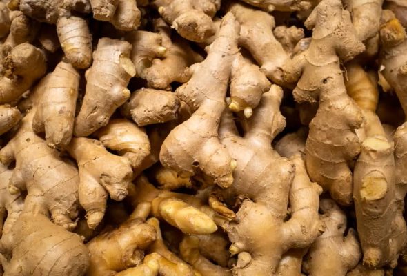 ginger